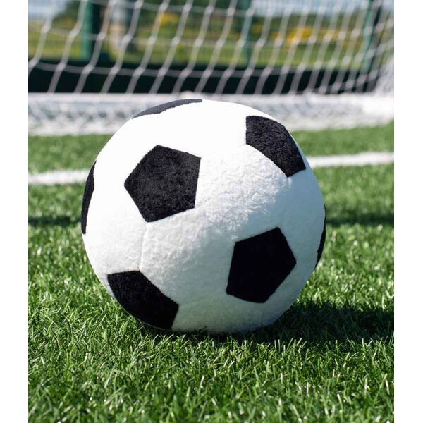 Mumbles Zippie Football Thumbnail